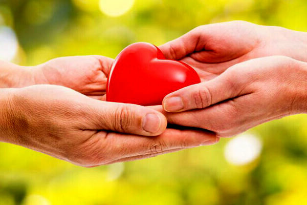 راهنمای دریافت مجوز خیریه در ایران